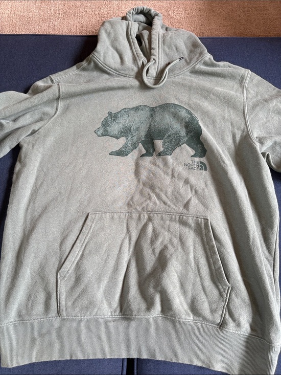 The North Face Other - The North Face Olive Green Bear Pullover Hoodie